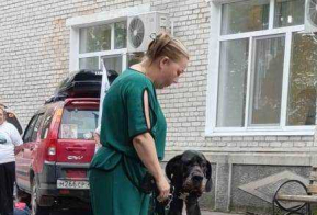 Для получателей социальных услуг Комсомольского-на-Амуре дома-интерната для престарелых и инвалидов, подведомственного министерству социальной защиты края, было организованно социально-ориентированное мероприятие «Мой четвероногий друг».